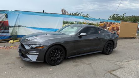 2019 Ecoboost mustang