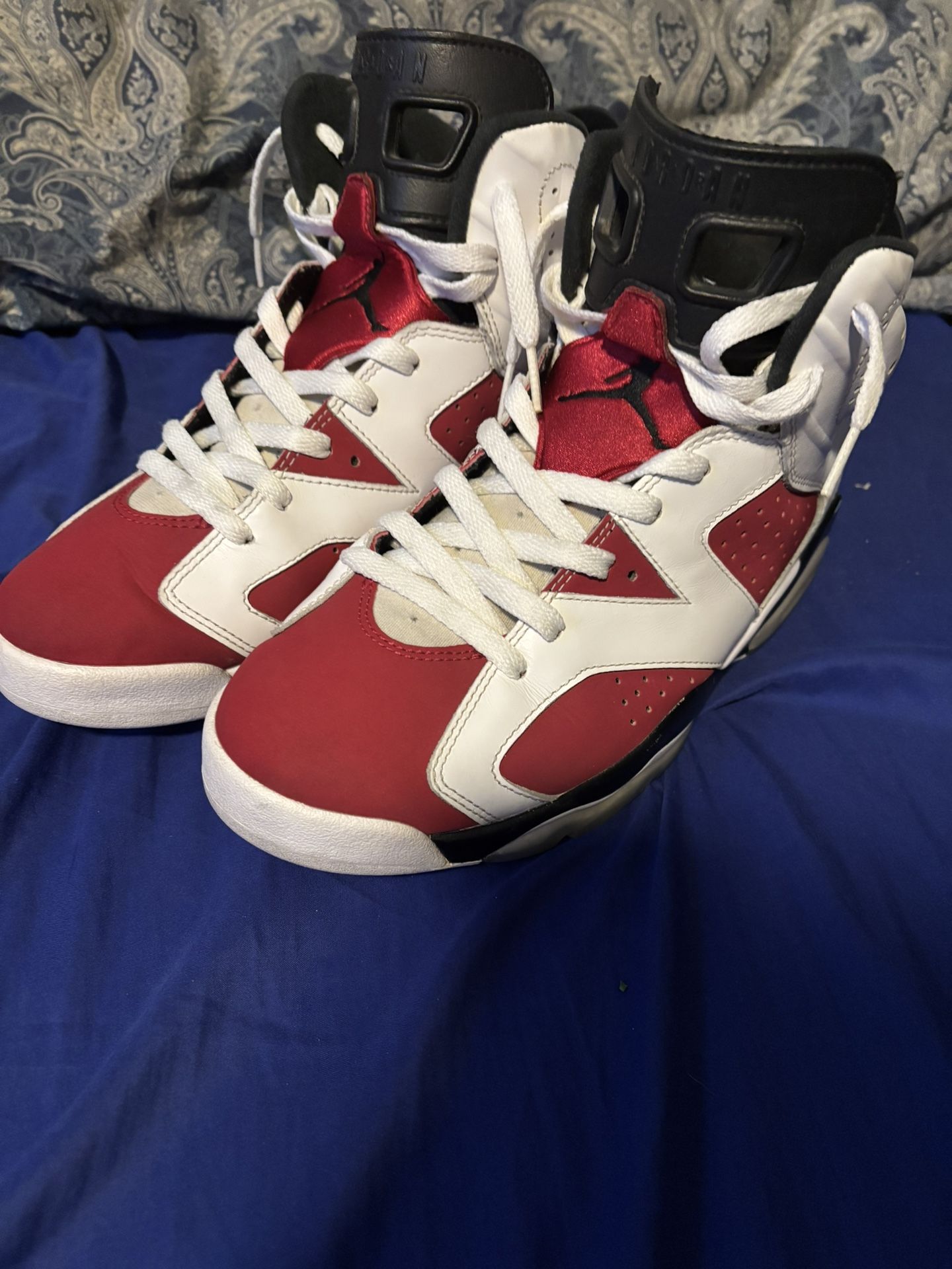 Jordan 6 Carmine Size 10.5