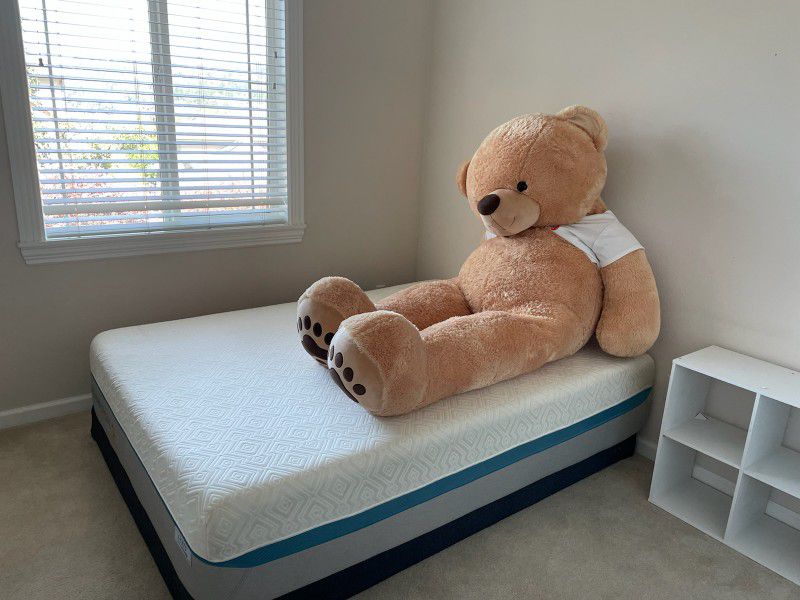 Daughters Giant Teddy Bear