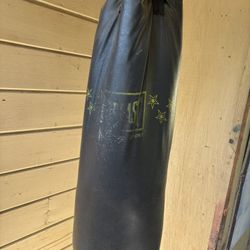 Heavy And Speed Bag 