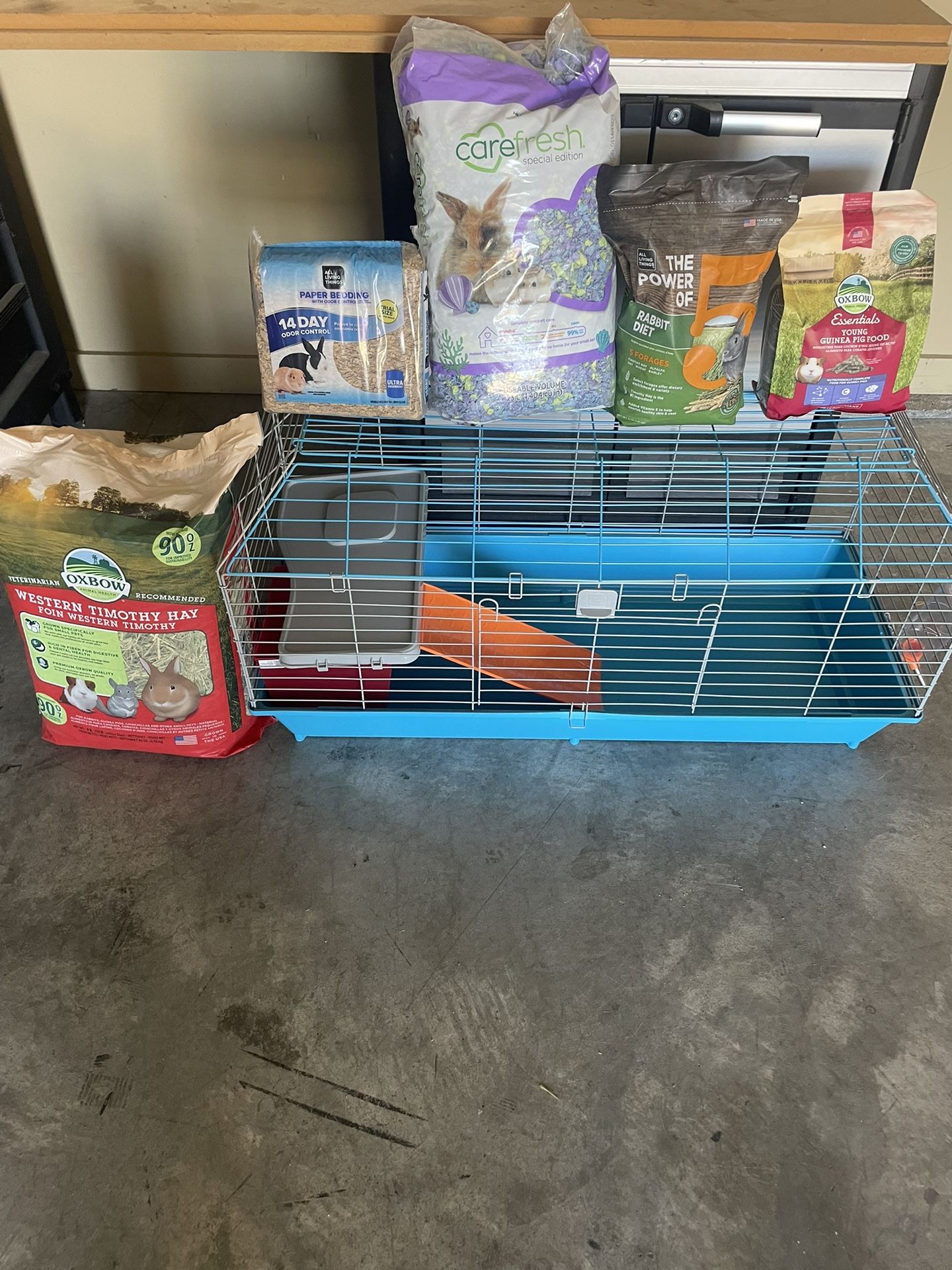 Guinea Pigs