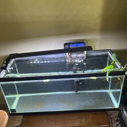 35 Gallon Fish tank (with everything to set up)