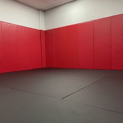 WALL PADS🔹BJJ MMA THAI BOXING WORKOUT GYM EQUIPMENT 