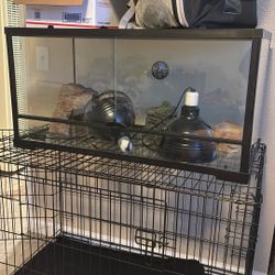 20 gallon reptile tank for sell items inside i clfed 