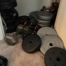 Metal and Plastic Weight Plates