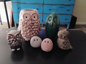 Owls