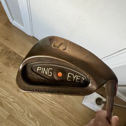 Ping Eye 2 SW