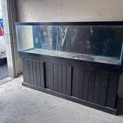 Fresh Water Fish Tank 
