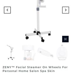Facial Steamer 
