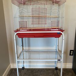 Bird Cage