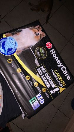 Dog pads 10$