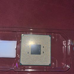 AMD Ryzen 5 5600x CPU