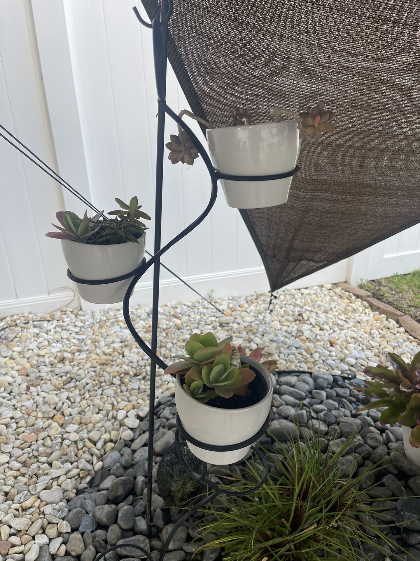 3 Ceramic Pots With Succulents Plants And Hangers