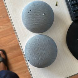 Alexia Google 30$ For Both 