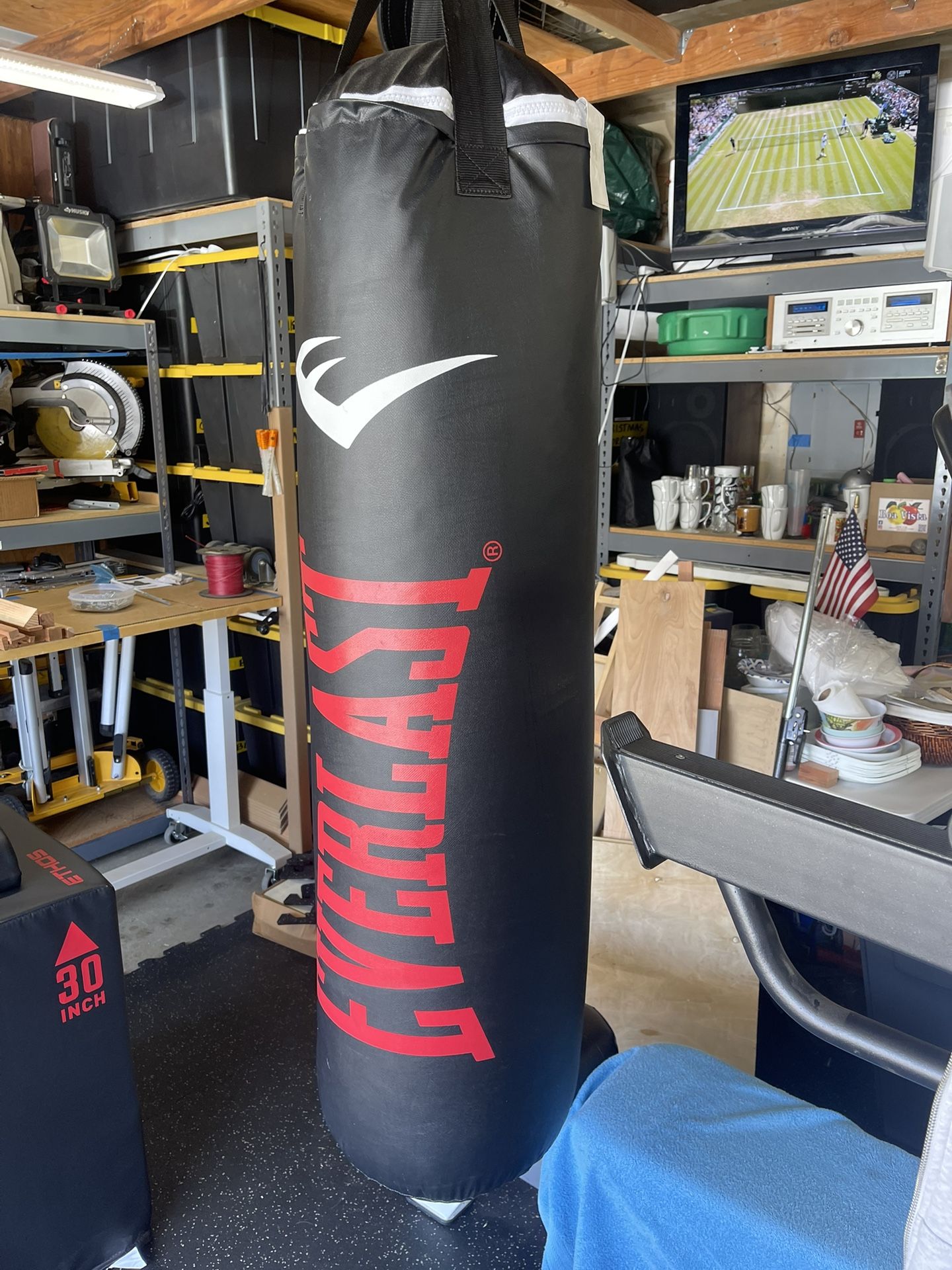 Everlast Punching Bag
