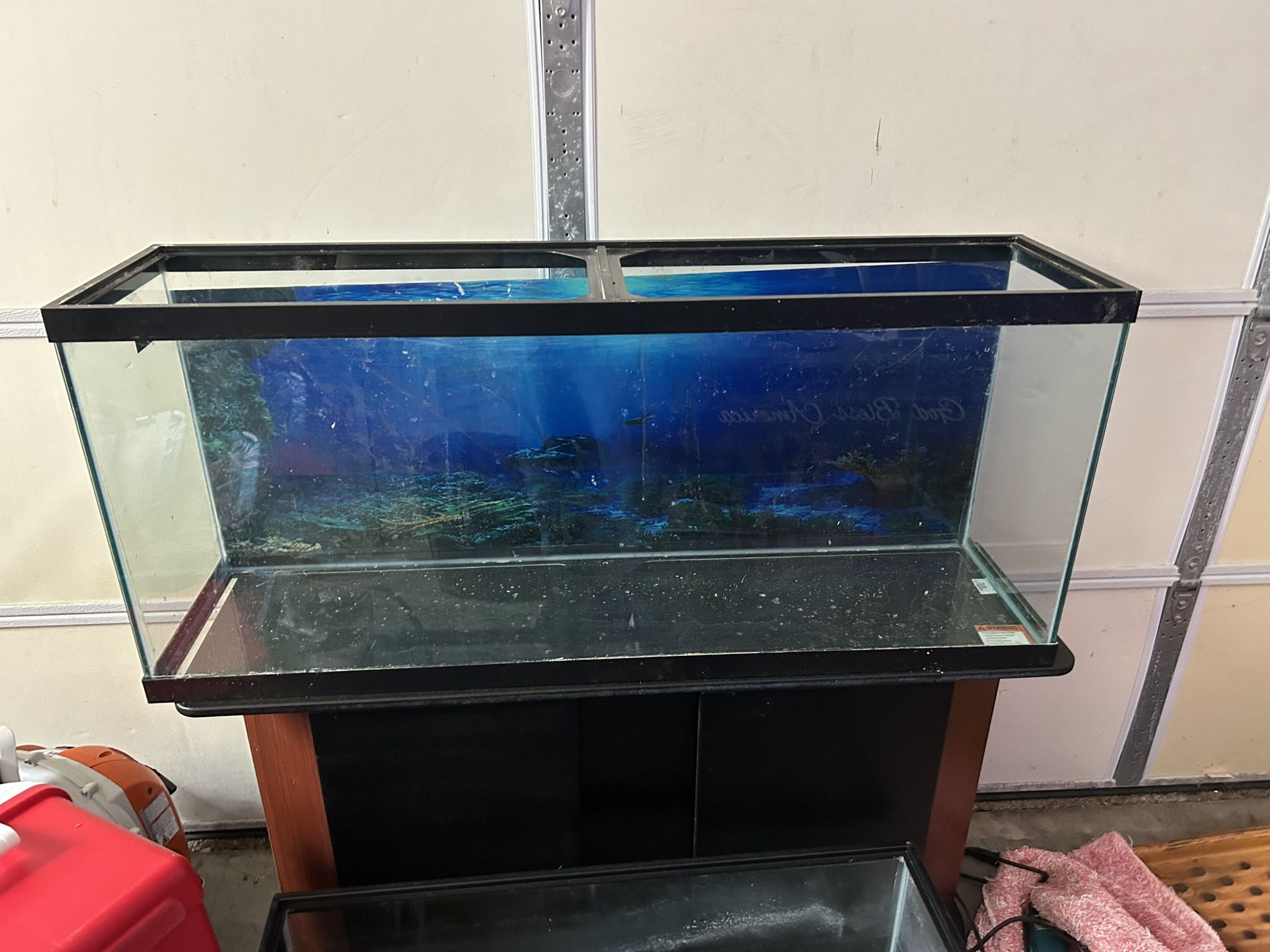 55 Gallon Tank And Stand