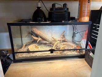 40 gallon reptile tank