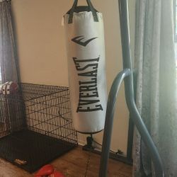 Punching Bag With Stand And Gloves