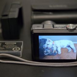 Cool Compact Digital Point and Shoot Camera - Panasonic DMC-ZS10