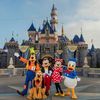 Disneyland Plug