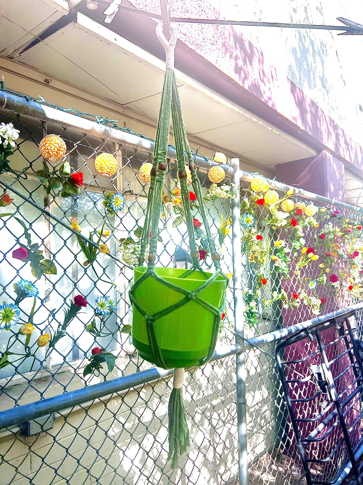 Green Macrame Plant Holder