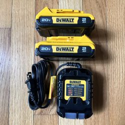 * NEW* Dewalt 20V battery (2-pack) and Charger