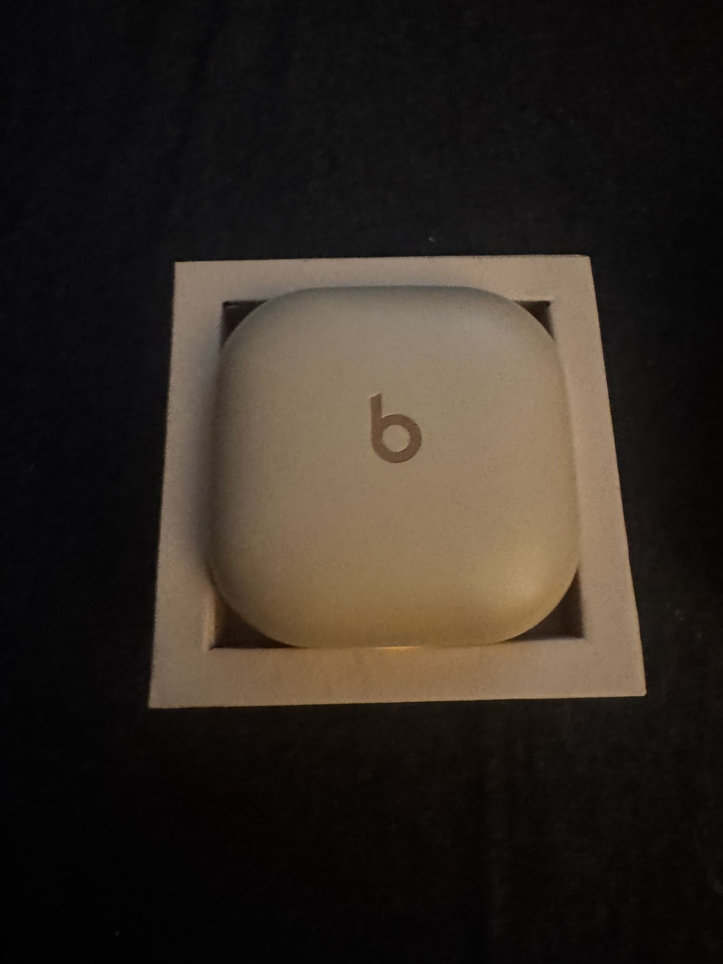 Beats Fit Pro X Kim K