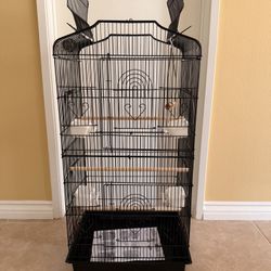 Birds Cage 