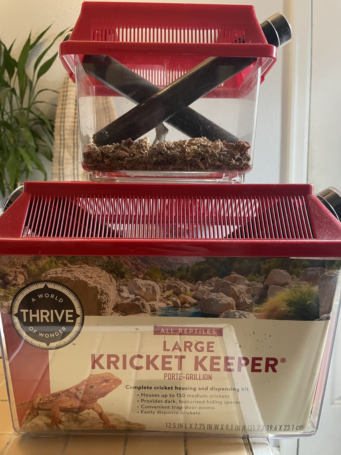 Free - Cricket Keepers - 2 Sizes