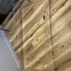 Everything You Need For A Guinea Pig 