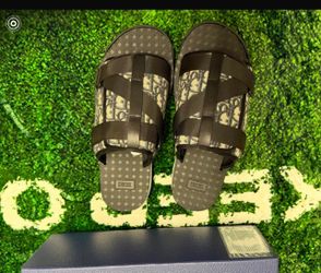 Dior slides