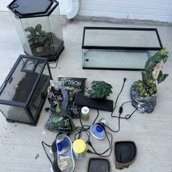 Amphibian/ Reptile Enclosure 