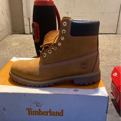 timbs size 10