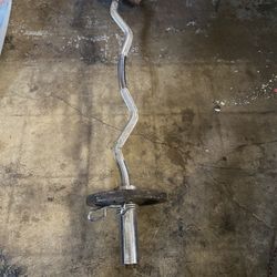 Set 2 Olympic Weights 20 Lbs With Bar