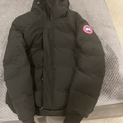 Black Canada Goose