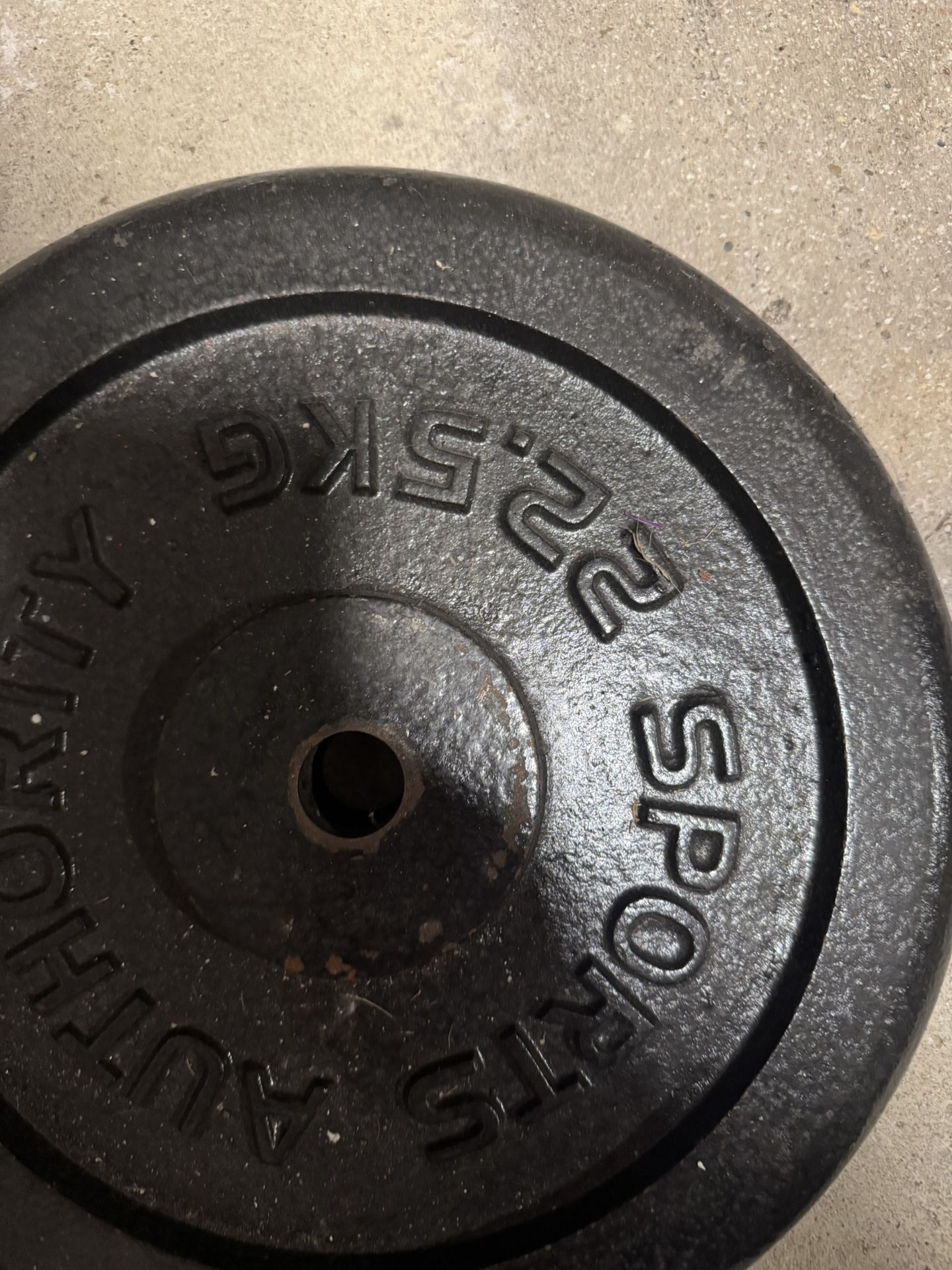 Sports Authority 22.5Kg Plate