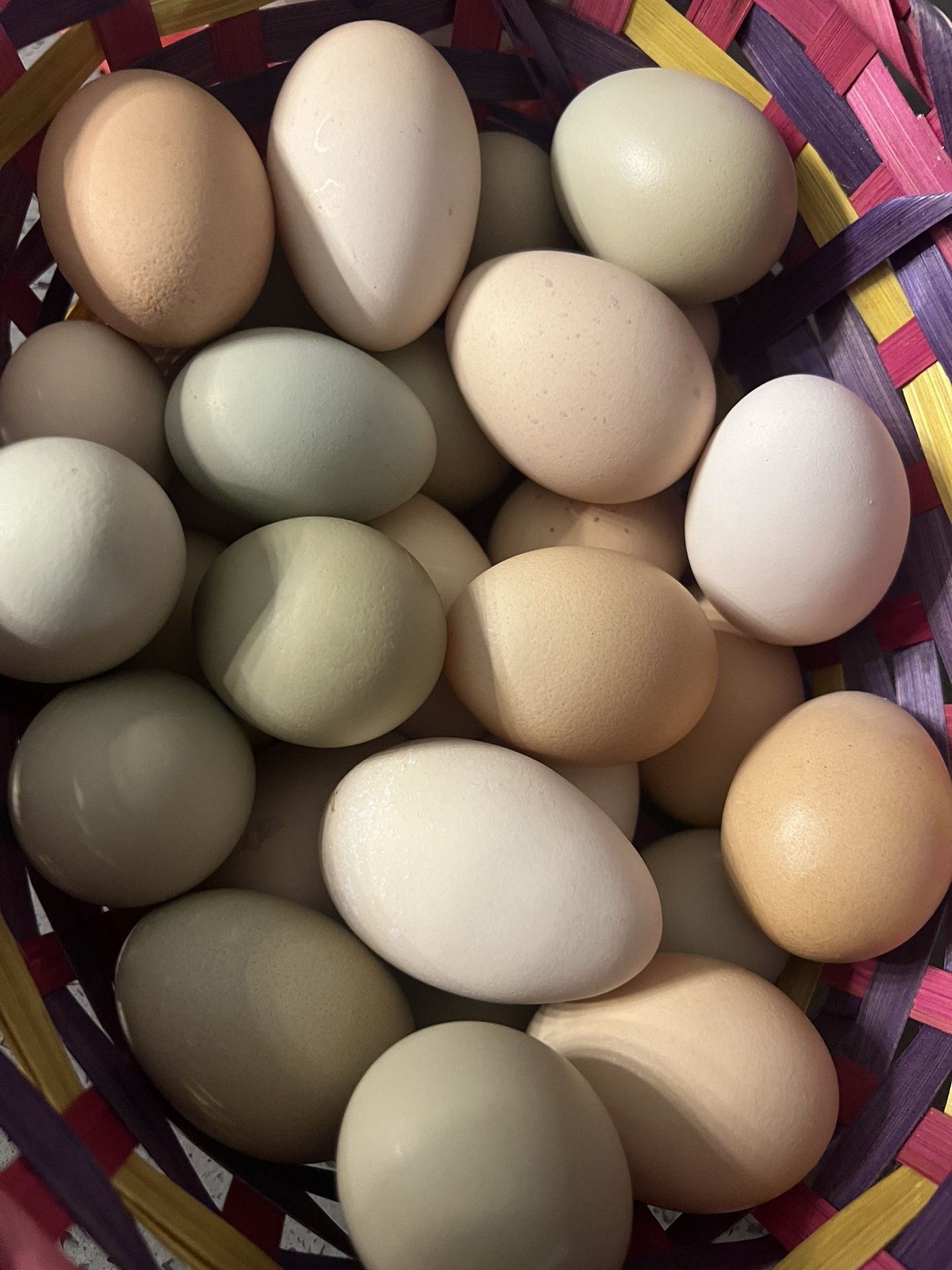 Fresh Eggs 🍳