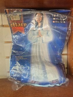 Biblical Times Mary Costume Child Large