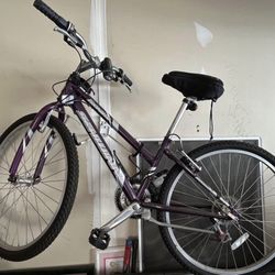 Woman’s 24 In Schwinn Bike