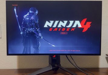 ASUS ROG OLED GAMING MONITOR