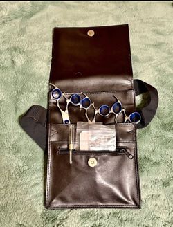Professional Hair Scissors Set with Case