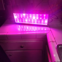 Grow Light