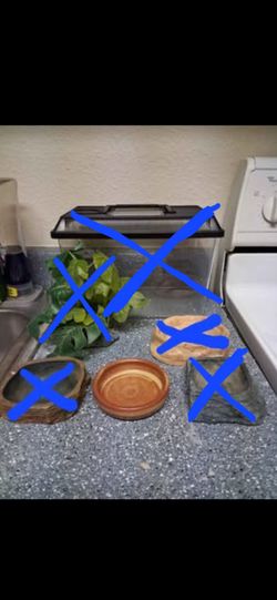 Reptile items $5 each Pickup 2-11 pm rainbow/charleston cash only read description