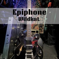 Epiphone — 2003 — Wild Kat — Trans Black