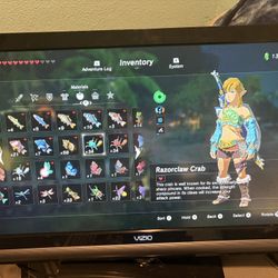 Vizio Flat Screen TV - 37 inch screen width