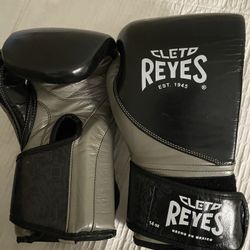Cleto reyes boxing gloves