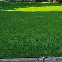 ECGREEN GRASS