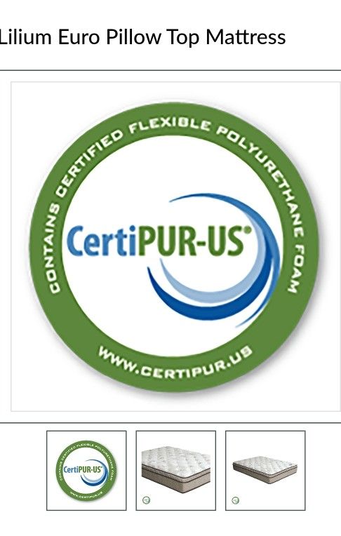 $100 Full 13" Mattress Innerspring