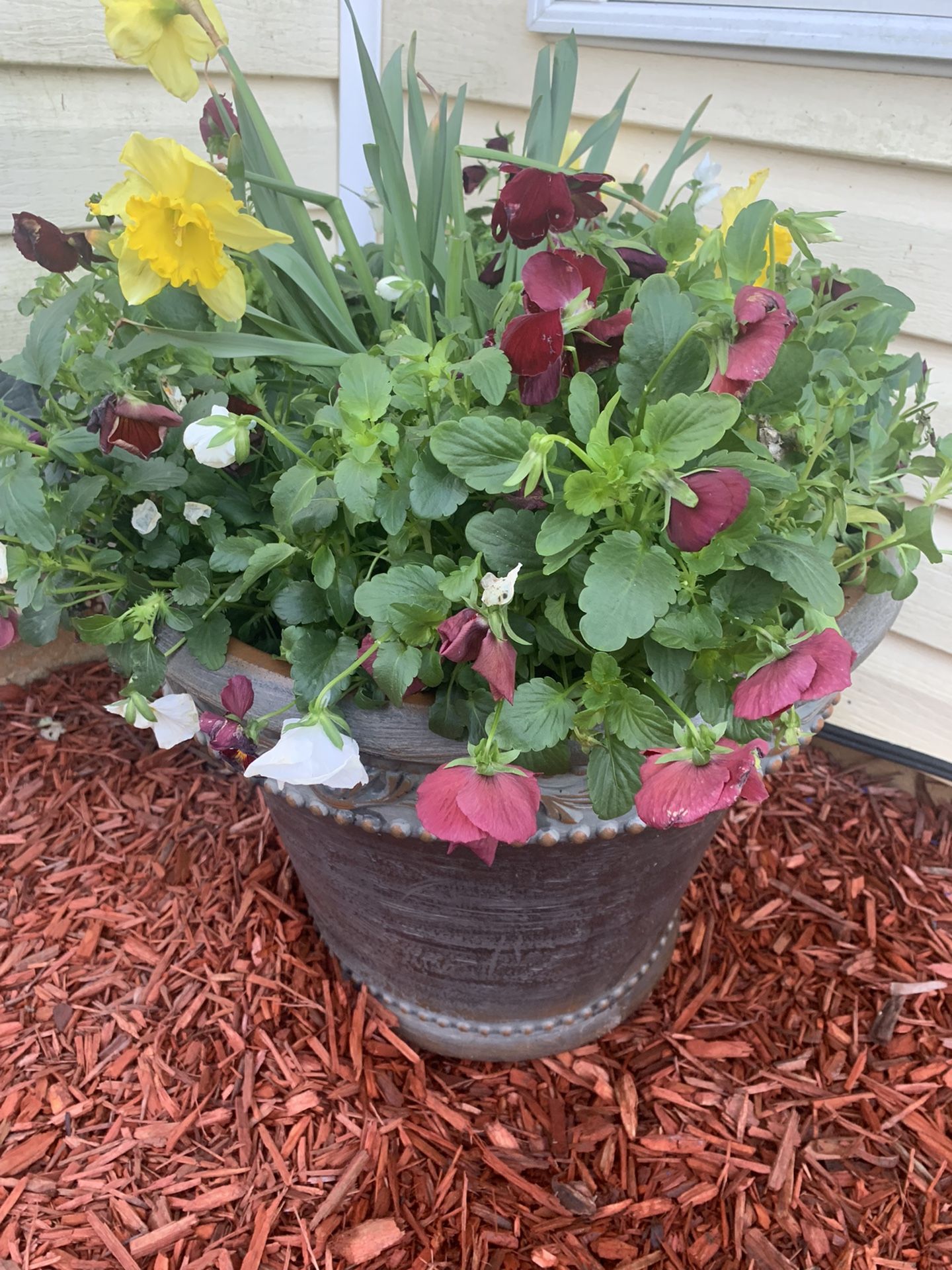 Live  flowers in brown flower pot.