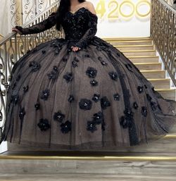 Wedding/ quinceanera dress